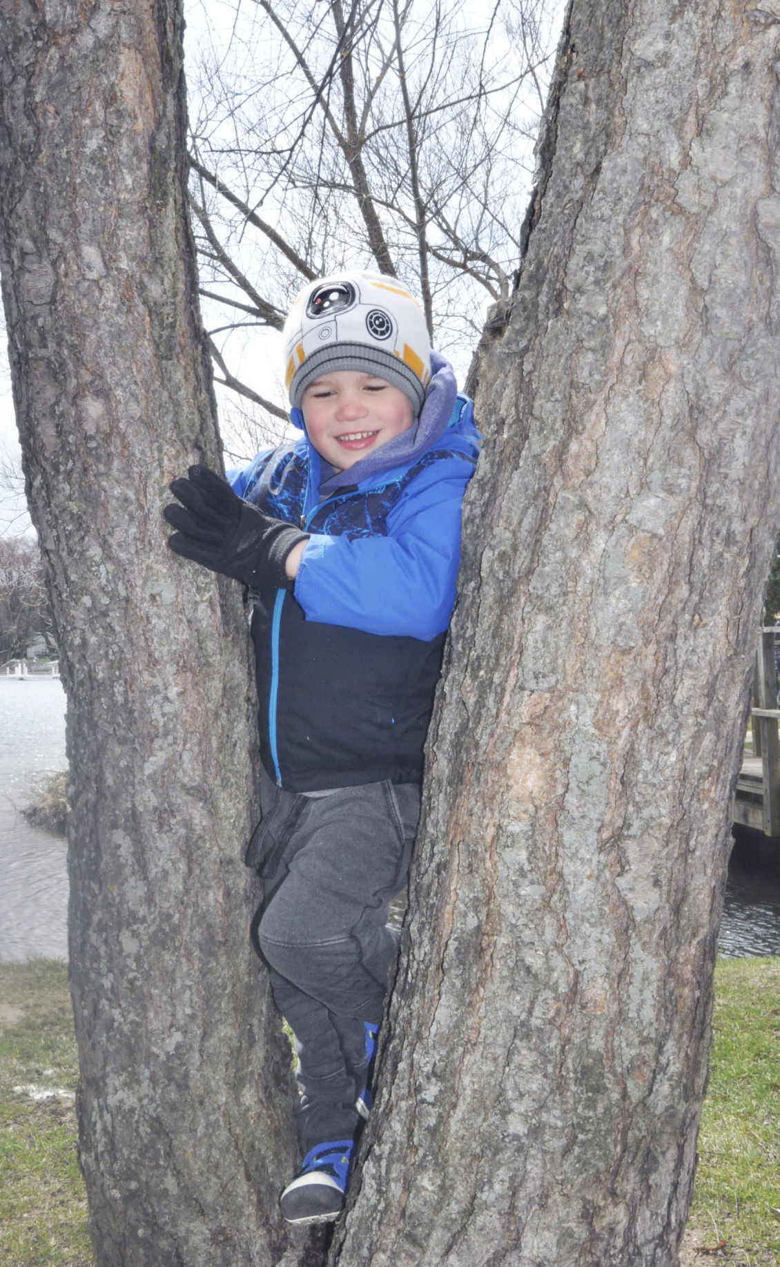 Boy climbs tree at Edgewater Park in Williams Bay - III
